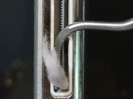 12年后清洁iPod充电端口