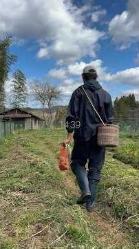#195 I Moved to the Japanese Countryside | Can I Really Grow Vegetables Like This?