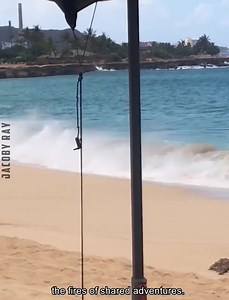 Unforgettable Summer | Jacoby Ray