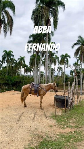 Fernando en Español