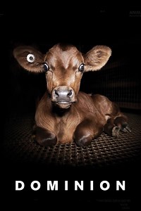 Dominion Summary, Trailer, Cast, Where to Watch and More