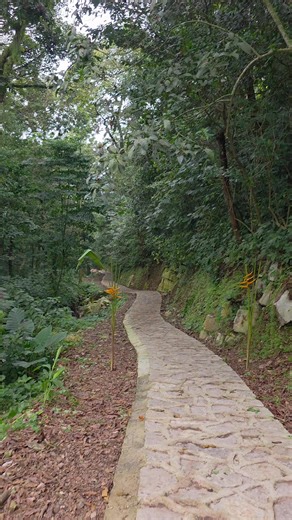 vengan y visiten nuestro centro turístico Pata de perro #Cuetzalan #PoramoraPuebla #PensarEnGrande #AlejandroArmenta #AlejandroArmenta