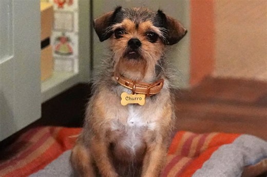 'Lopez vs Lopez' dog actor was found on the streets before stardom