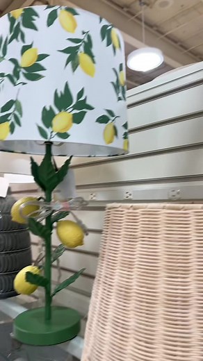 Birdie Wood on TikTok