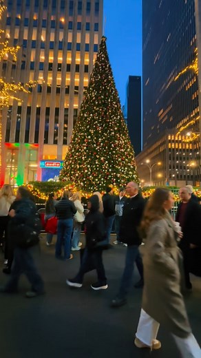 2.7K reactions · 179 shares | The @foxnews All American Christmas Tree lighting #nyc #newyork #newyorkcity | The Big NYC | Facebook