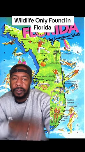 Exploring Unique Wildlife in Florida