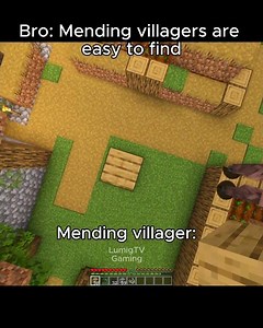 mending villagers are not easy to find...