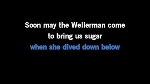 Karaoke Sea Shanty Wellerman - Ritchie Remo - CDG, MP4, KFN - Karaoke Version