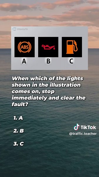 Let’s see if you can get a driver’s license in Poland 🇵🇱 #drivingtest#trafficrules#roadrules#driverslicense