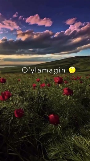 Seni u dunyoda ham topib sevaman ❤️‍🩹🎶 #azobli_sevgim