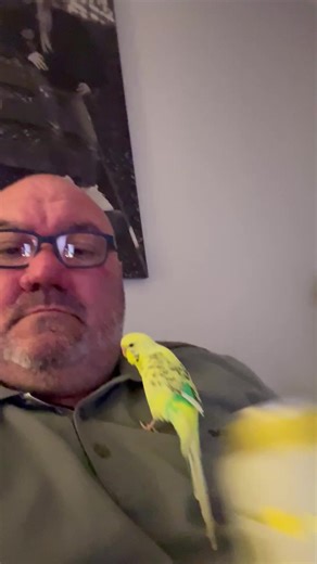 kano.84 (@kano.84)’s videos with original sound - kano.84