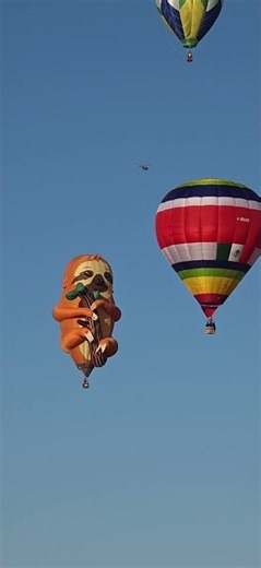 Albuquerque Balloon Fiesta Sloth Balloon