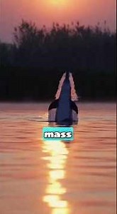 Extinction That Happened While We Watched