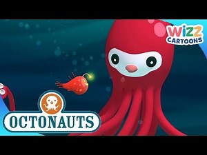 @Octonauts - Stealing Flying Fish | Compilation | Wizz Cartoons