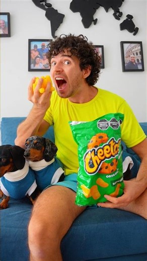 No comer en el Sofá ❌😱😡 #perrosalchicha