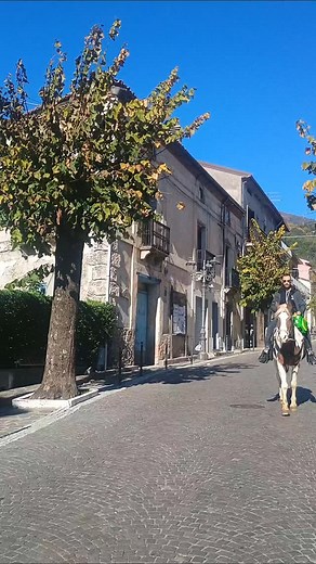 🐎🐴❤️🍀 | Antonio Servidio