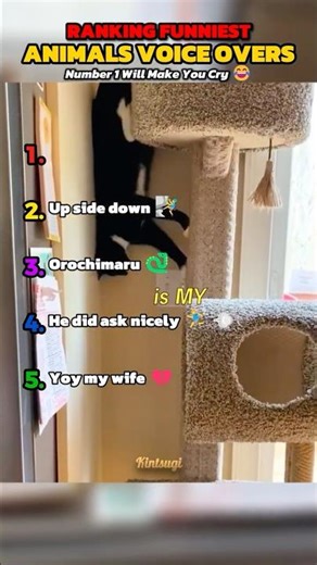 Ranking the funniest animal voice overs 🤣 #shorts