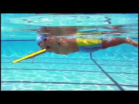 Seminar01-05:Why TI Swimming is Different 2