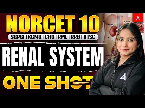NORCET 10 Renal System One Shot | SGPGI, KGMU, CHO, RML, RRB, BTSC |AIIMS NORCET 10 Exam Preparation