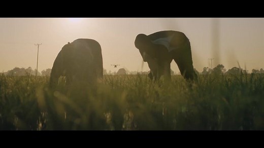 497K views · 187 reactions | Humans have been fighting malaria for centuries. Could drones prove to be the tool to end this battle, once and for all? | DJI | Facebook