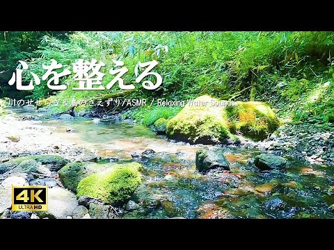 心を整える川のせせらぎ 森に響く鳥のさえずり：緊張緩和、制作活動、デスクワークなどにご活用ください【自然音,ASMR,4K,relaxing nature sounds】