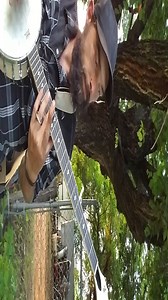 Watch Mulucky 5 String Banjo -B1102 on Amazon Live