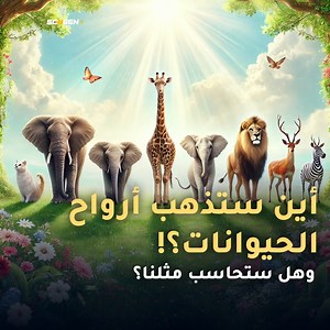 9.6K reactions · 439 shares | أين ستذهب أرواح الحيوانات؟! وهل لهم جنة ونار؟ وهل سيحاسبون مثل البشر؟ | ScreeN+ | Facebook