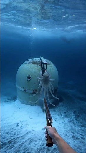 #81. Deep-Sea Spearfishing Adventure #spearfishing #underwater #deepblue #deepsea #extremefishing
