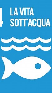 Claudia Penzavecchia | Per chi decide di consumare pesce, ci sono delle azioni che possono rendere questo consumo meno impattante sull'ambiente. "Breve"... | Instagram