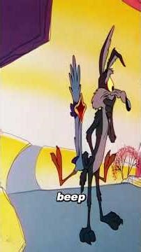 Why do coyotes always chase from behind?