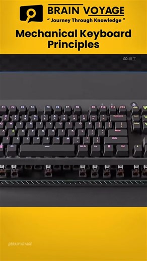 How Mechanical Keyboards Really Work 🔥 | The Secret Inside Every Switch #keyboard #shortvideo