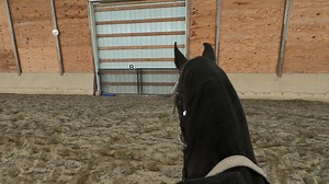 81 reactions · 15 comments | Prince Post #490--Back in the Saddle Busy schedule and numerous emergencies meant a few visits without being saddled for Prince. Which in turn translates to that first ride is going to be an unknown, leaning to the side of a lil bit of rodeo mixed with a whole lot of attitude. Actually, I think he does ok, here. | Last Chance Mustang | Facebook