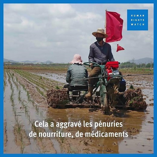 Corée du Nord : Renforcement de la frontière