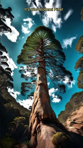 Dinosaurs 🦖 and a Living Tree? 🌲 | Did You Know?