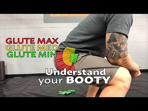Understand your BUTT ANATOMY
