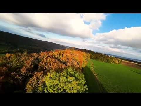 Flywoo explorer LR 4 with o3 / Black Forest in Autumn