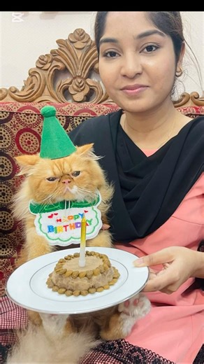 How to make Cat’s Birthday cake😻Cherry🥰#cat #birthday #cake #shorts #viral #trending #pets #funny