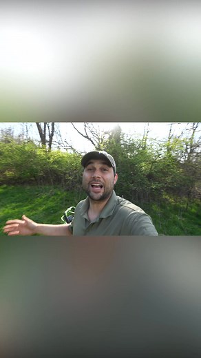 Which lawn mower is more powerful？ #55 | The Lawn Review