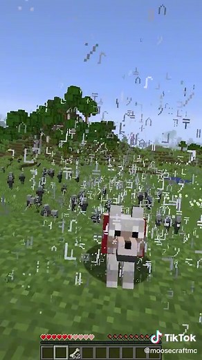 MooseCraft Minecraft on TikTok