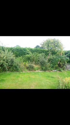 1.1K views · 11 reactions | Indian sandstone patio Using harvest...