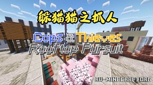 我的世界 警察抓小偷：城市救援