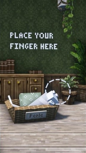 Place your finger here version Minecraft 👆