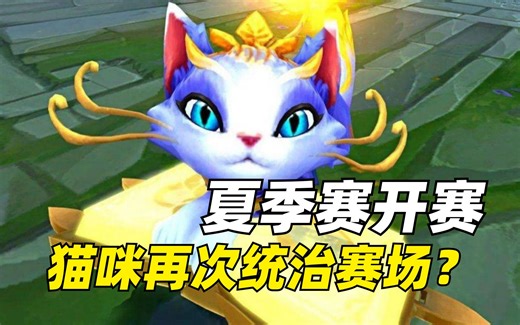 夏季赛开启 重做猫咪又起飞！TT被爆内讧 小黄人爆出合同问题？