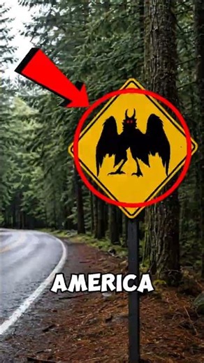 IF YOU SEE THIS RED EYED CREATURE ON THE ROAD, RUN IMMEDIATELY! 😱⚠️