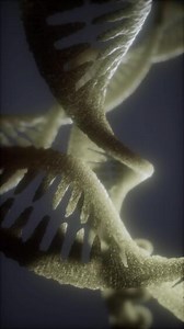loop double helical structure of dna strand close-up animation