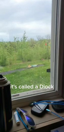 John Curran on TikTok