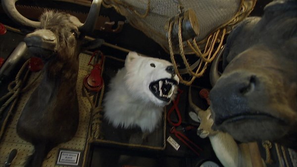 American Pickers: Best Of Season 6 Episode 14 Picks on the Wild Side