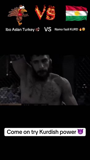 Ibo Aslan vs Namo Fazil: Who Will Win in MMA?
