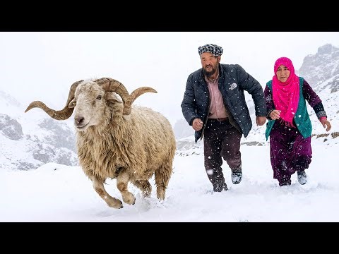 Surviving a Deadly Winter Snowstorm in the Highlands | Elderly Couple’s Struggle for Food & Life