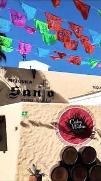 Original Cabo Wabo for the 1st time!? #cabosanlucas #cabowabo #sammyhagar #santo #tequila